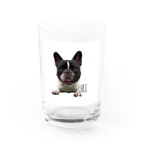 ウリんこさんグラス Water Glass