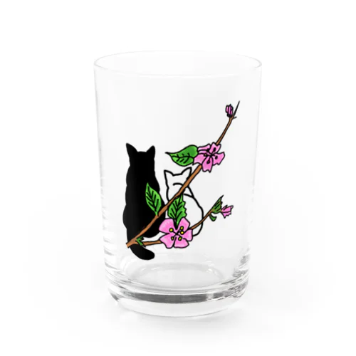 桜猫 Water Glass