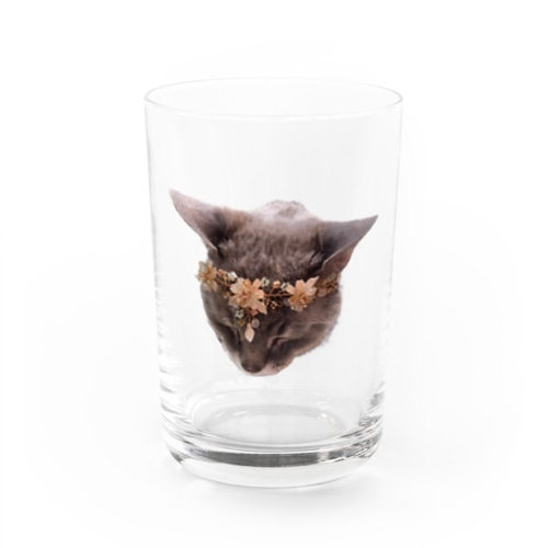 花猫 Water Glass
