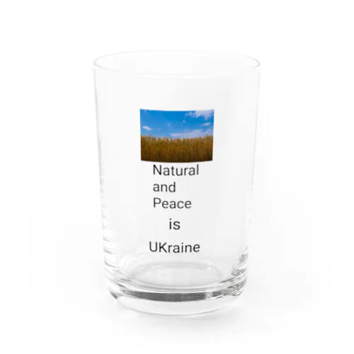 To want peace UKraine  Water Glass