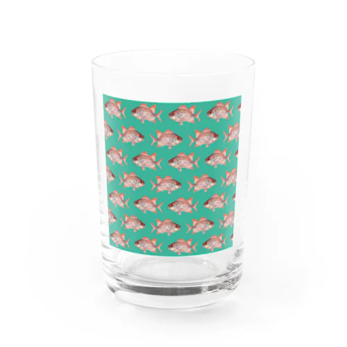 セグロマツカサ(ターコイズ) Water Glass