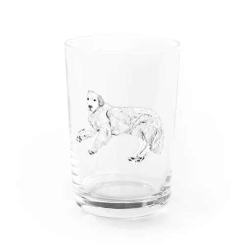 『ん？どうしたの？』× golden retriever Water Glass