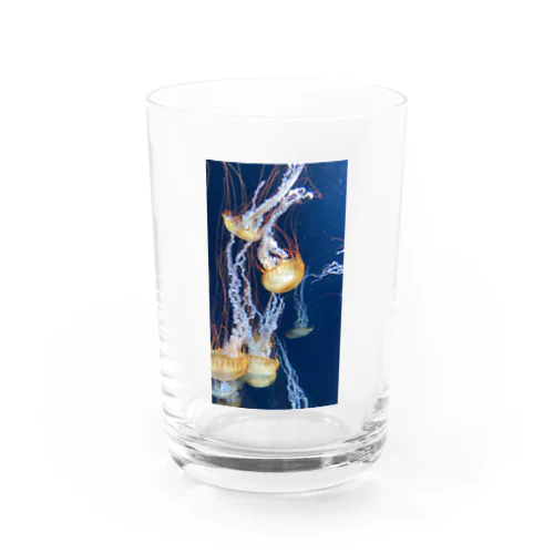 パシパシパシフィック Water Glass