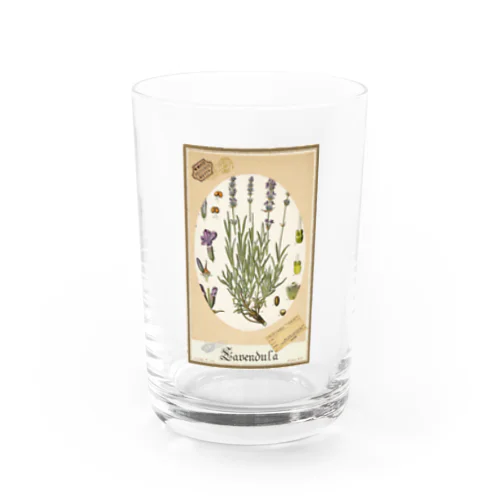 Lavendula🎀Lavender『ラベンダーの標本帖』🎀 Donation Items for cats Water Glass