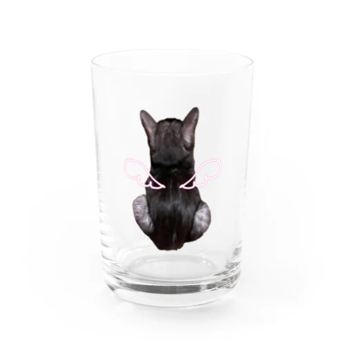 天使のバックショットねこ Water Glass