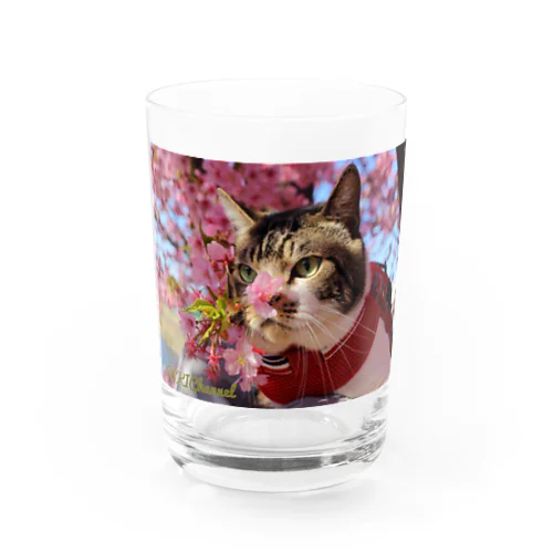リキちゃんと桜のおはな Water Glass