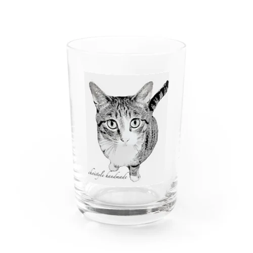 猫　目線の先に𓃠 グラス