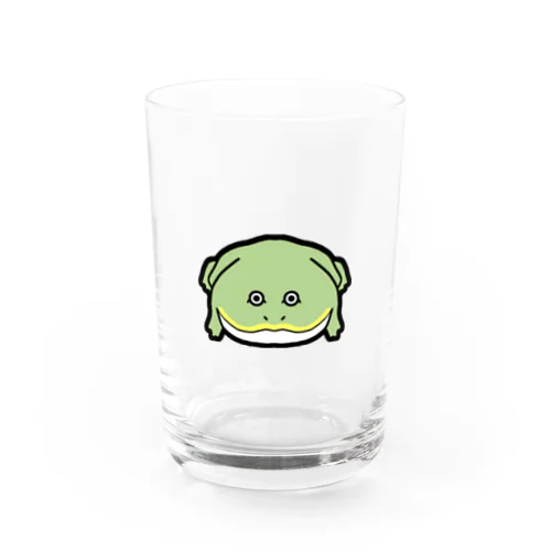 マルメタピオカガエル Water Glass