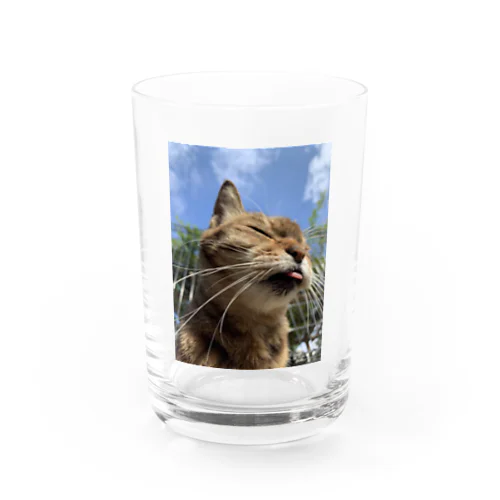 ラブ　キャット Water Glass