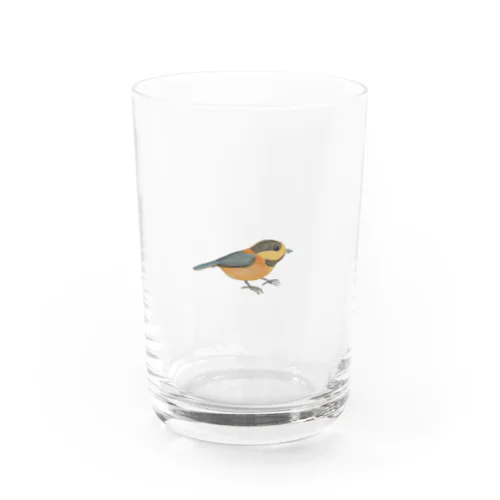 ヤマガラ来たょ。 Water Glass