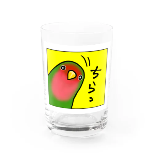 |ω•)ﾁﾗｯとコザクラインコさん Water Glass