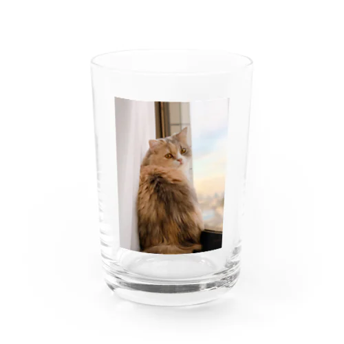 かわいいふくろう Water Glass