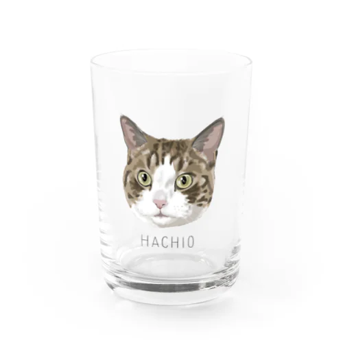 hachio Water Glass