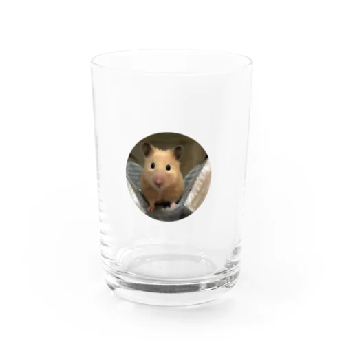 ふろちゃんグッズ Water Glass