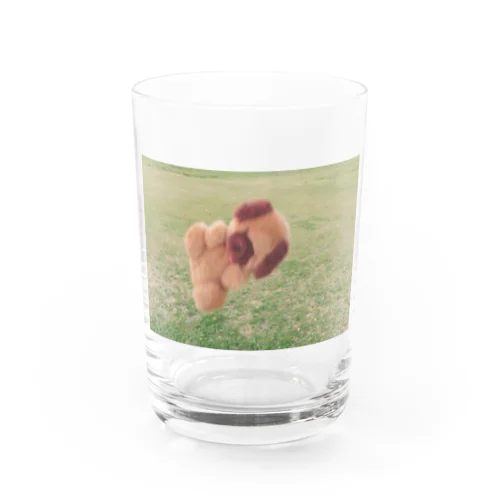 軽やかいぬ Water Glass