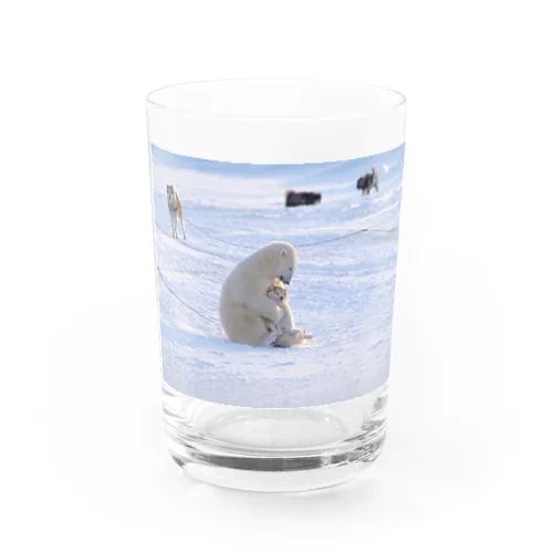 シロクマHUG Water Glass