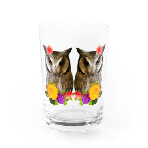 ふたごのフクロウ Water Glass