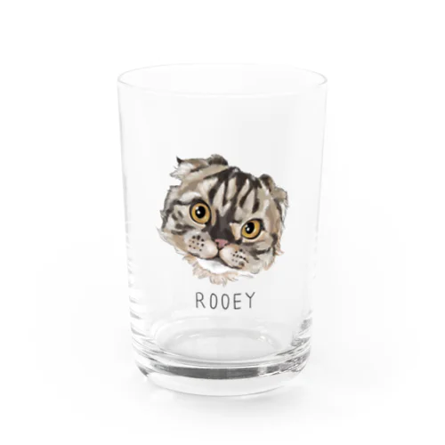 rooey Water Glass