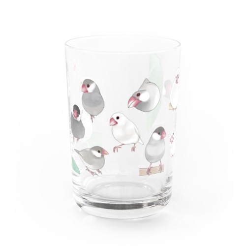 あつまれ文鳥ちゃん【まめるりはことり】 Water Glass