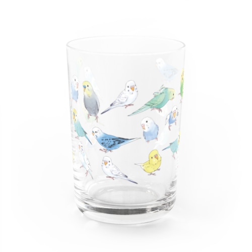 あつまれセキセイインコちゃん【まめるりはことり】 Water Glass