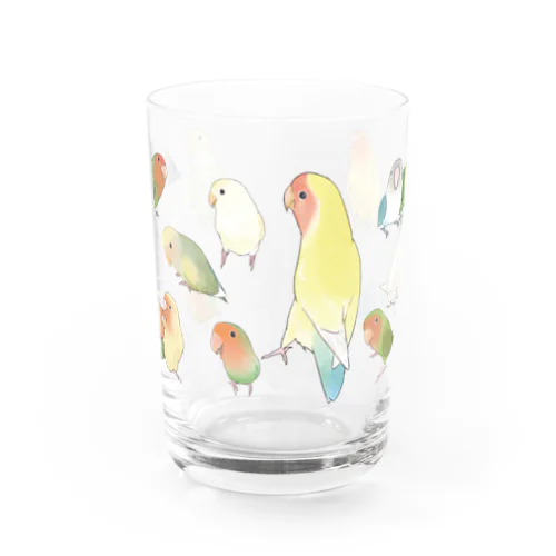 あつまれラブバード（コザクラインコ・ボタンインコ）ちゃん【まめるりはことり】 Water Glass