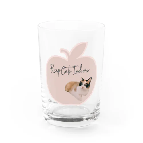 ◻︎山猫庵タンジーちゃん◻︎チャリティーグッズ Water Glass