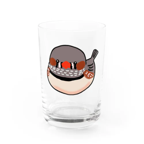 スワルキンカチョウ Water Glass