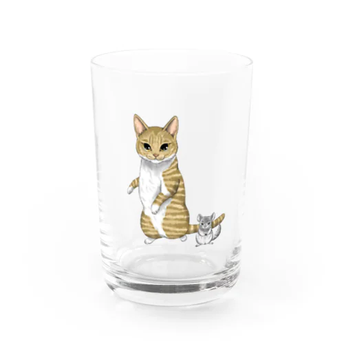 猫とチンチラ グラス