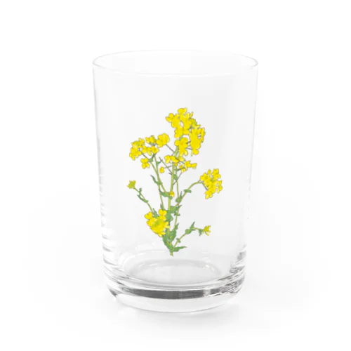 菜の花 Water Glass