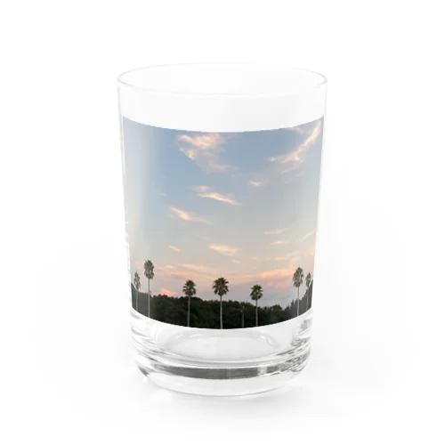 夕暮れ空とヤシの木 Water Glass