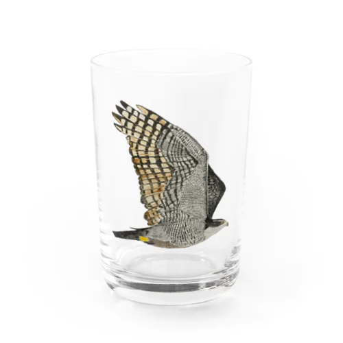 オオタカ　飛ぶぞ🦅🪶 Water Glass