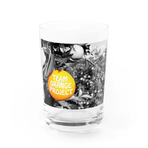 team-orange Water Glass