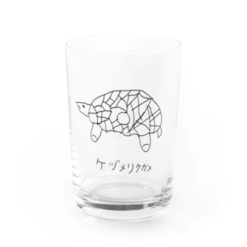 ケヅメリクガメ Water Glass