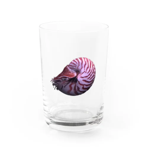 鸚鵡貝 Water Glass