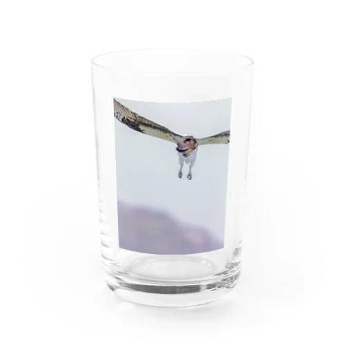 ミサゴの本気 Water Glass