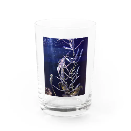 seahorses Water Glass