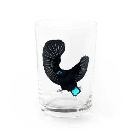 コウロコフウチョウ Water Glass