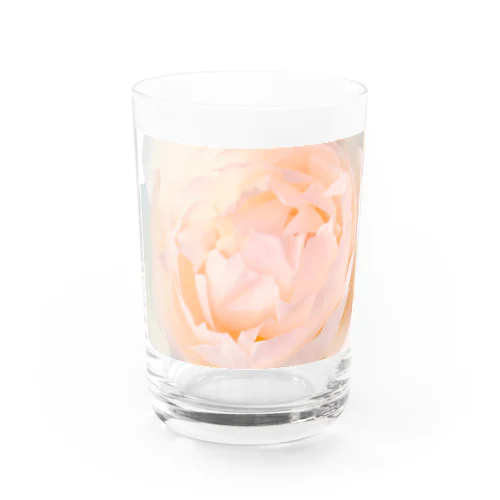 Peony 2 Water Glass