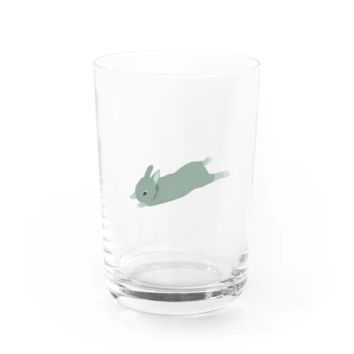 usa! Water Glass