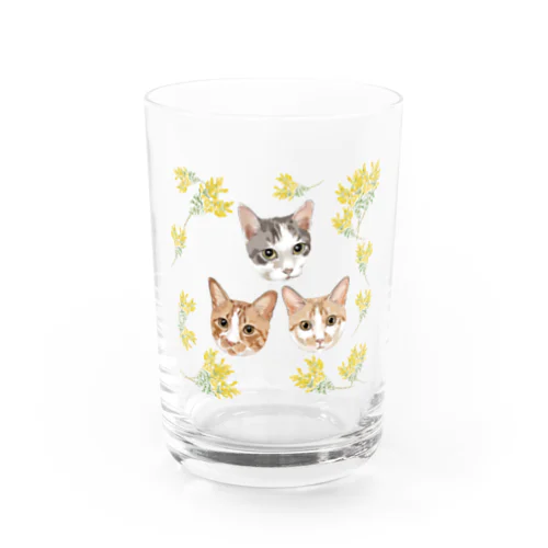 rui & ram & Ta-chan Water Glass