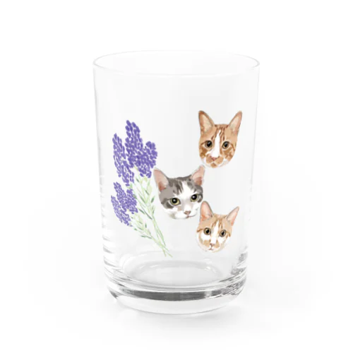 rui & ram & Ta-chan Water Glass