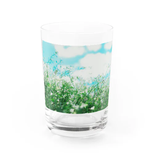 花柄3 Water Glass