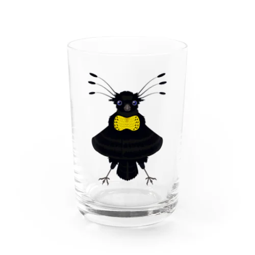 カンザシフウチョウ Water Glass