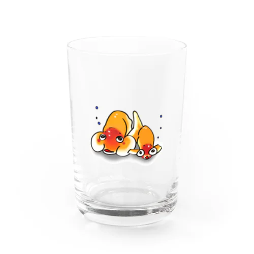 「まめまめ水族館」まめとてんちゃん Water Glass