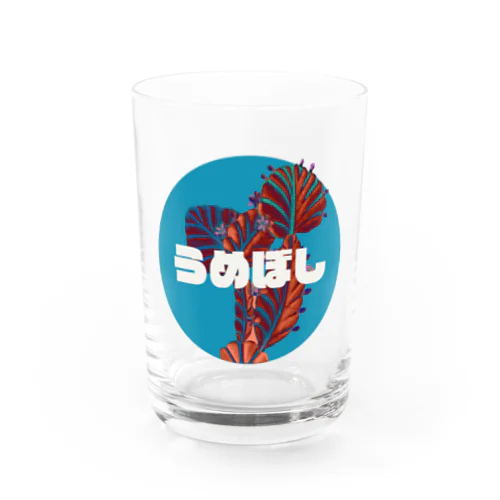 うめぼしCBD  Water Glass