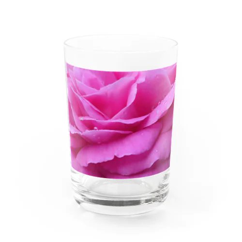 Rose vif Water Glass