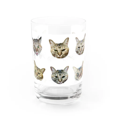 ひげのながいねこ Water Glass