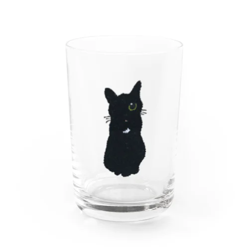 銀ちゃん Water Glass