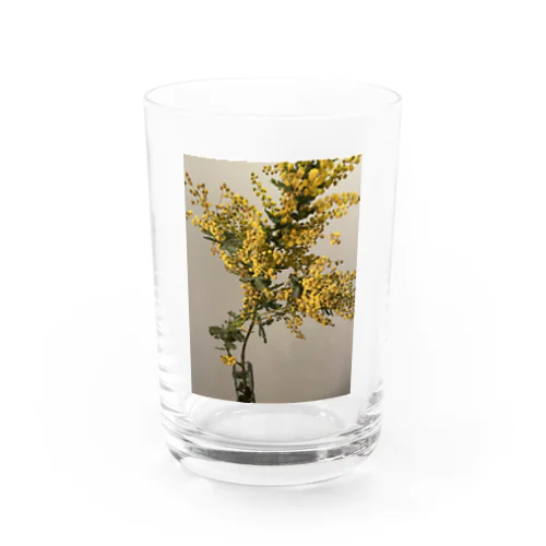 mimosa series グラス