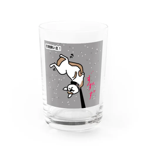 散歩拒否、しば犬さん Water Glass